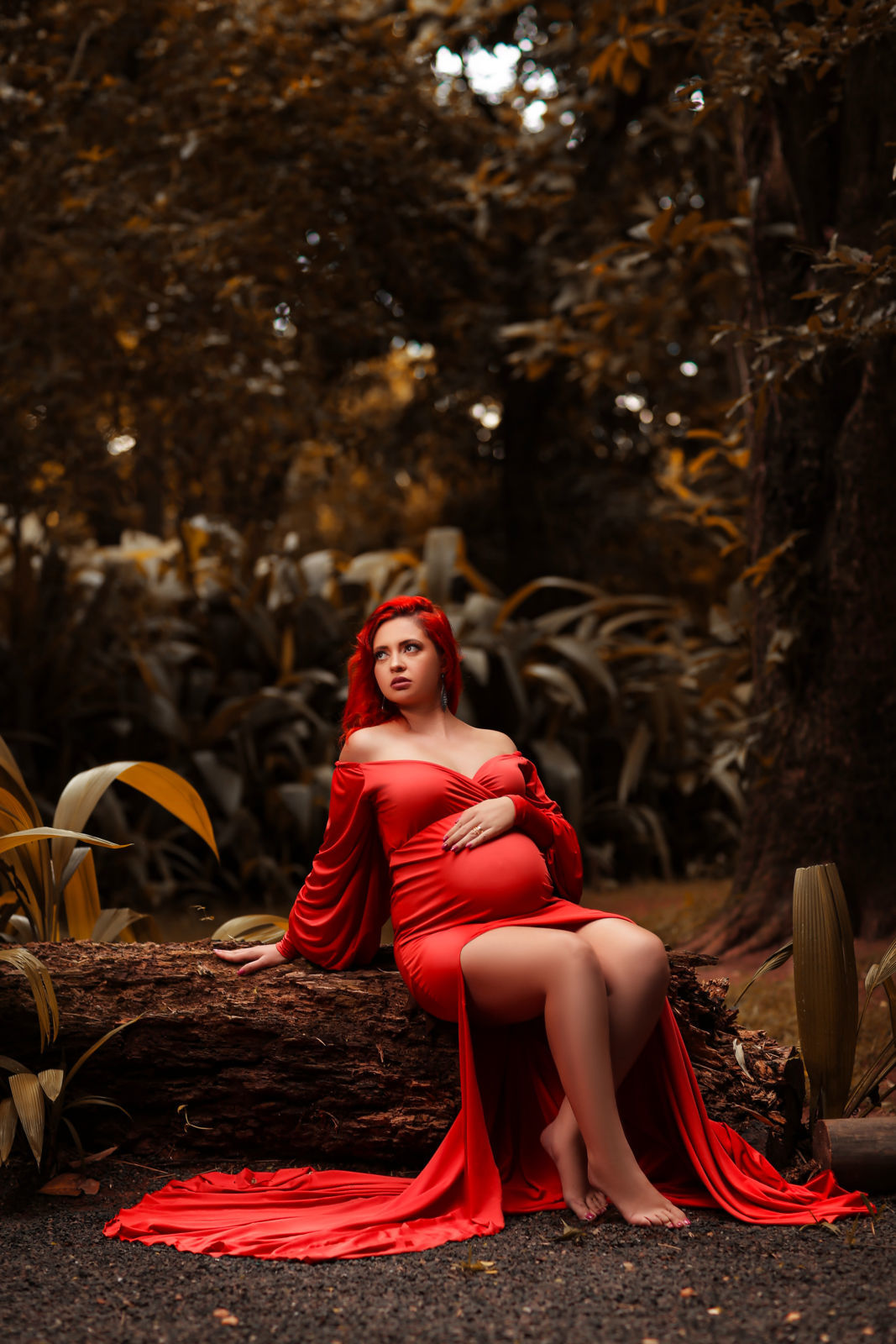 Foto 25 Novos Modelos de Vestidos - Lançamento Coleção Queen - Imagem 15